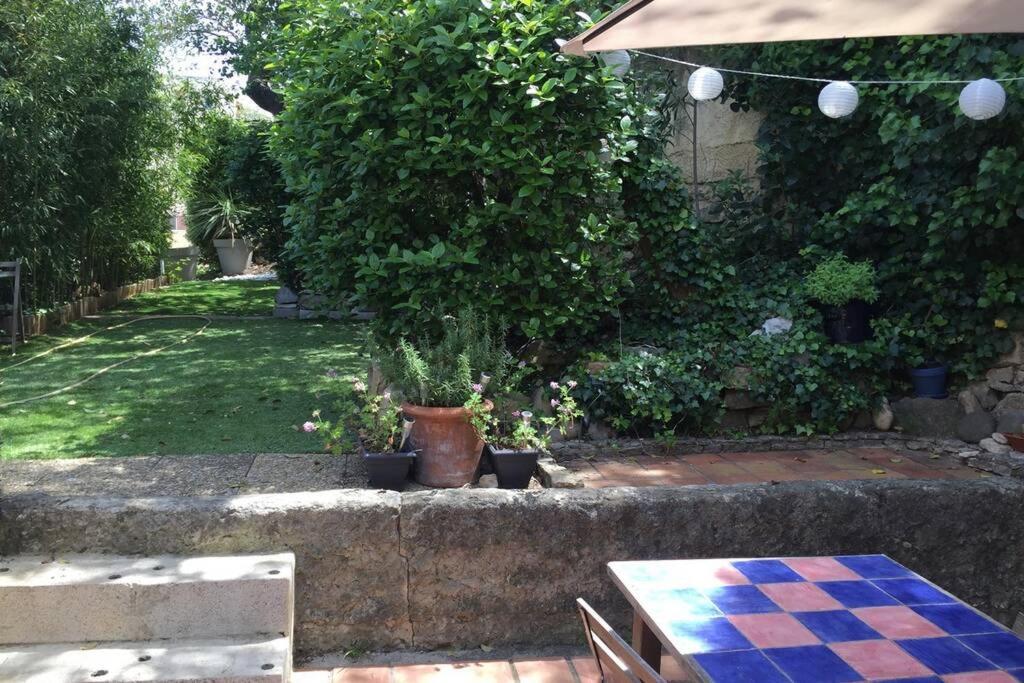 La Cassirène - Maisonnette centre Cassis - Jardin Esterno foto